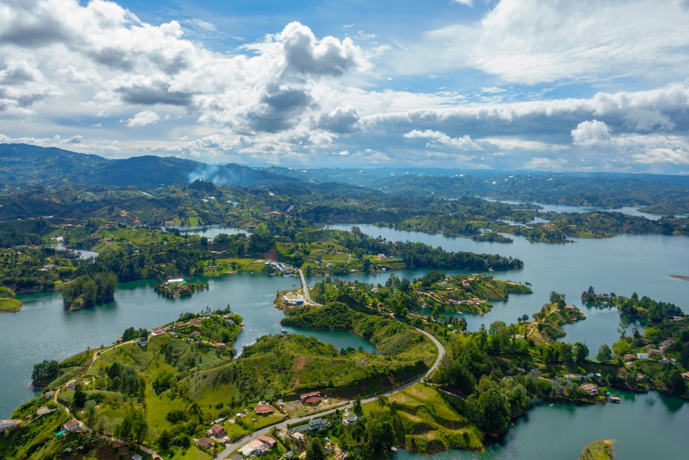 Vista aérea de árboles verdes y río durante el día