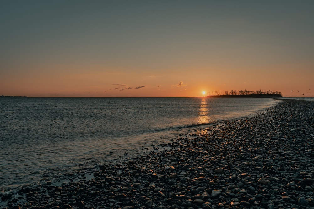 silhouette di persone sulla spiaggia durante il tramonto
