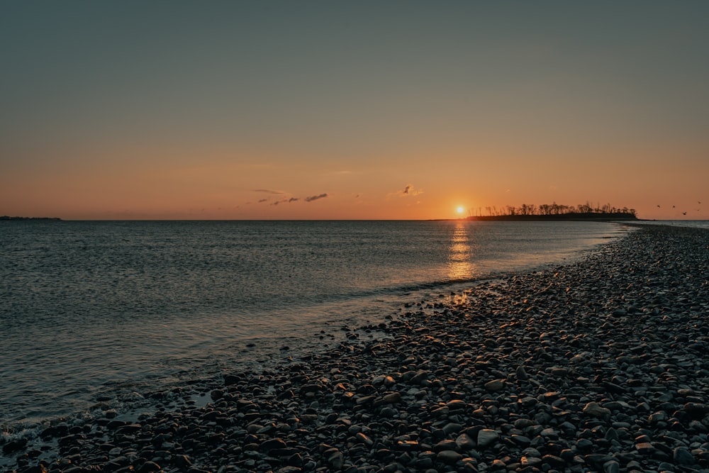 silhouette de personnes sur la plage pendant le coucher du soleil