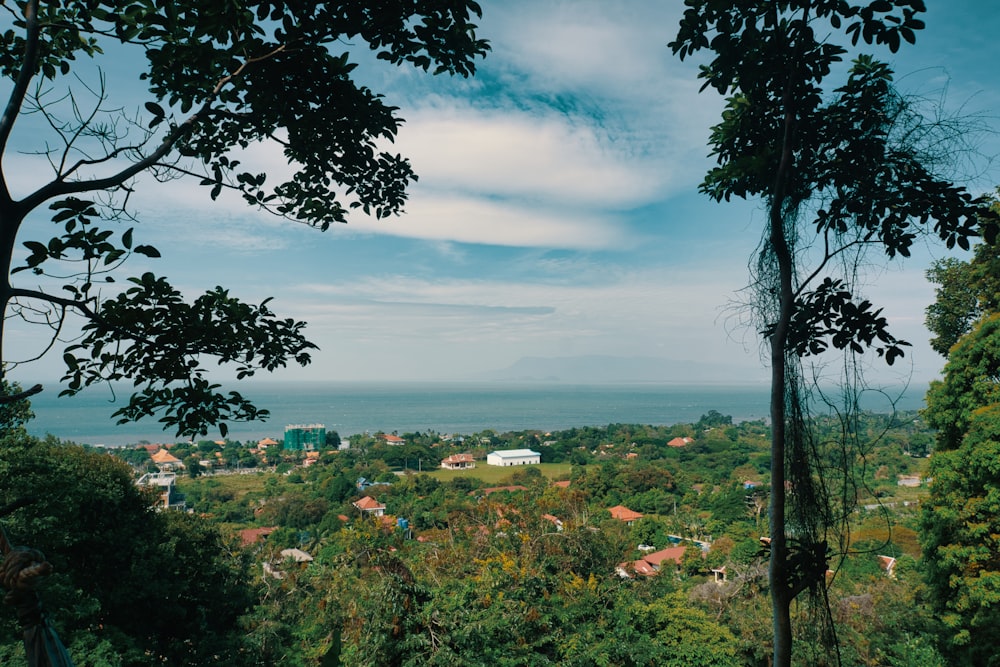 green trees and houses under blue sky and white clouds during daytime