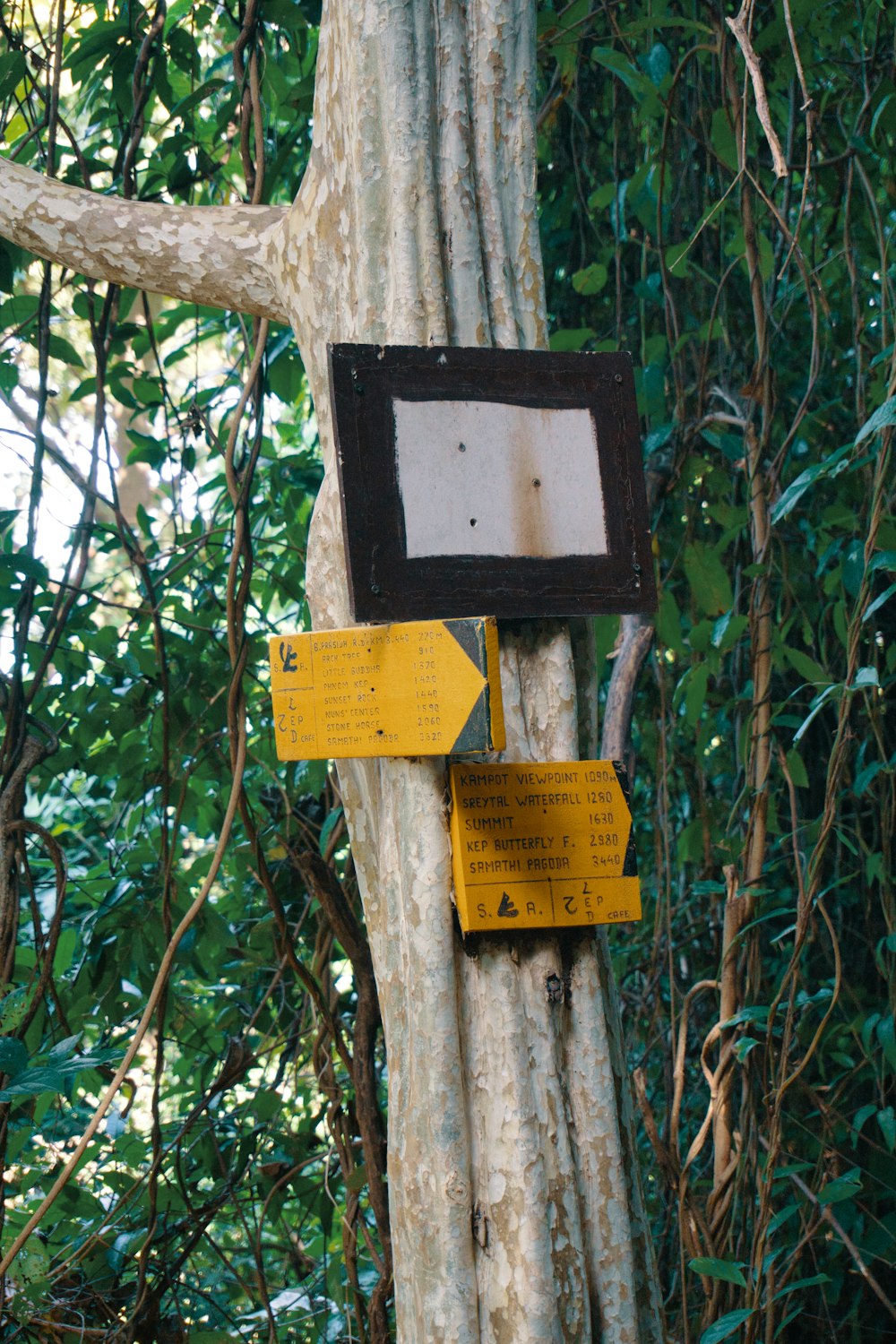 yellow and black wooden signage