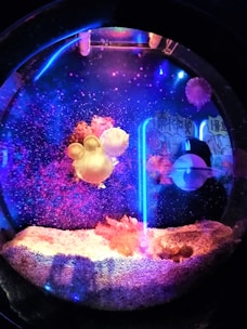 A vibrant smart aquarium with glowing LED lights.