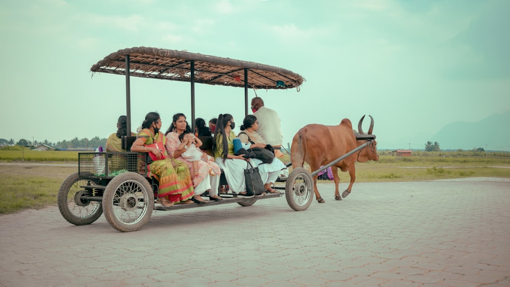 people riding on carriage with brown cow on the side during daytime