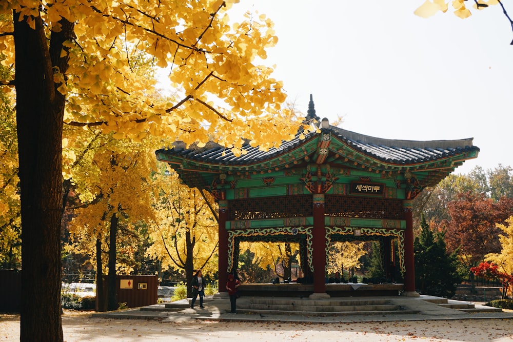 brown and green pagoda temple