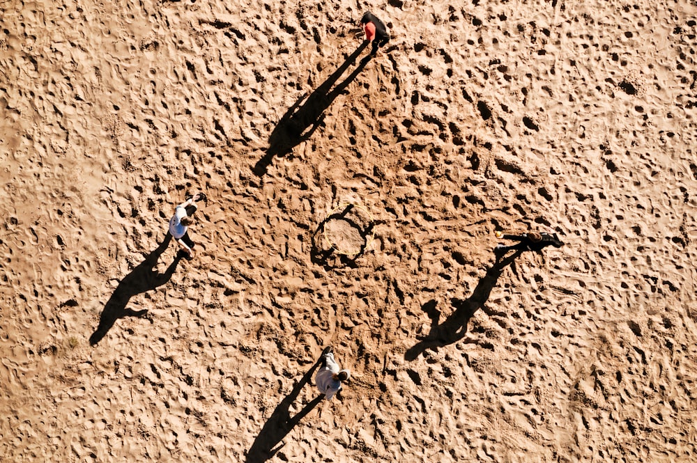 person in black pants walking on brown sand during daytime