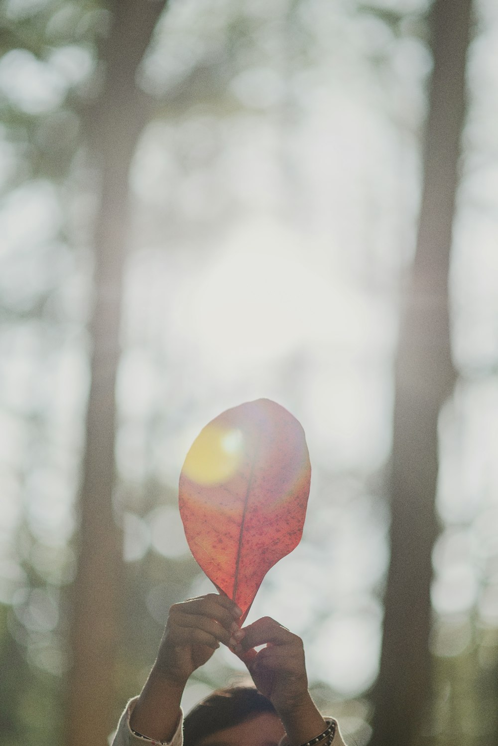 Roter Herzballon in Tilt Shift Linse