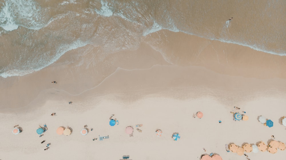 people on beach during daytime