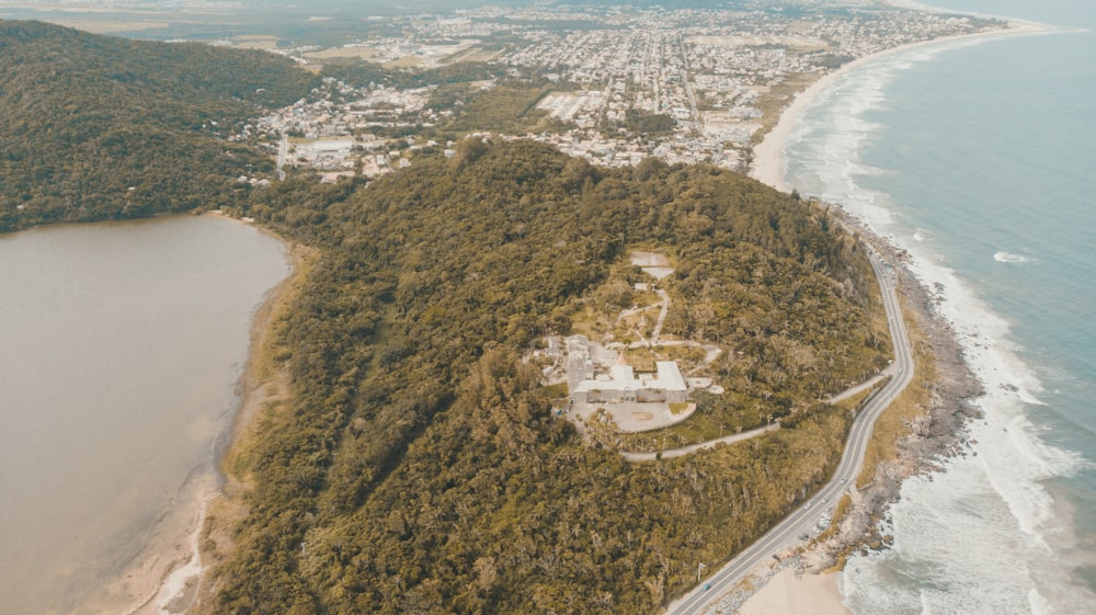 aerial view of green trees and white buildings during daytime