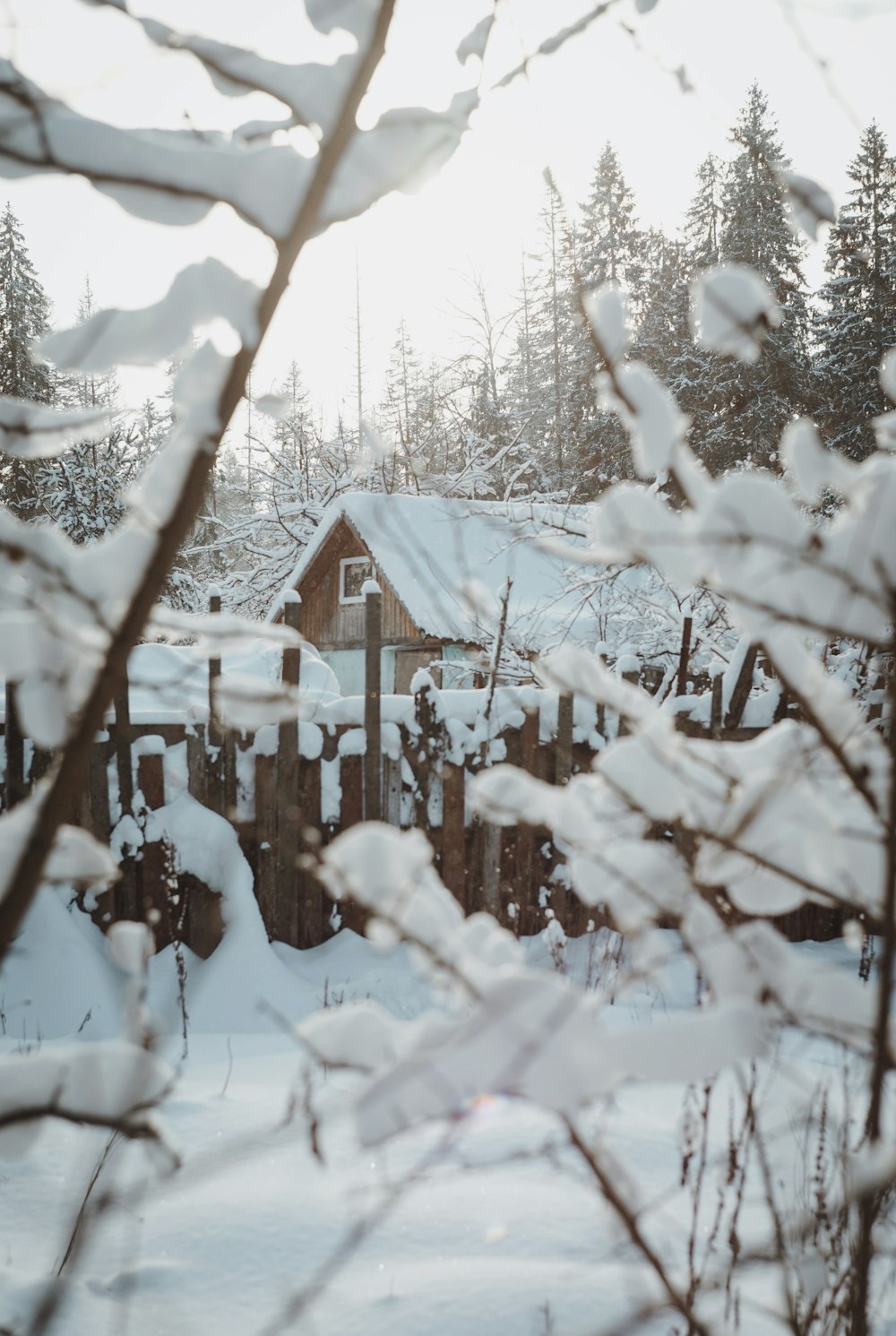 braunes Holzhaus tagsüber mit Schnee bedeckt