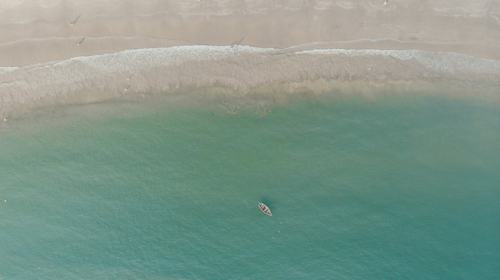 birds eye view of beach