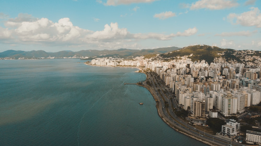 aerial view of city buildings near body of water during daytime