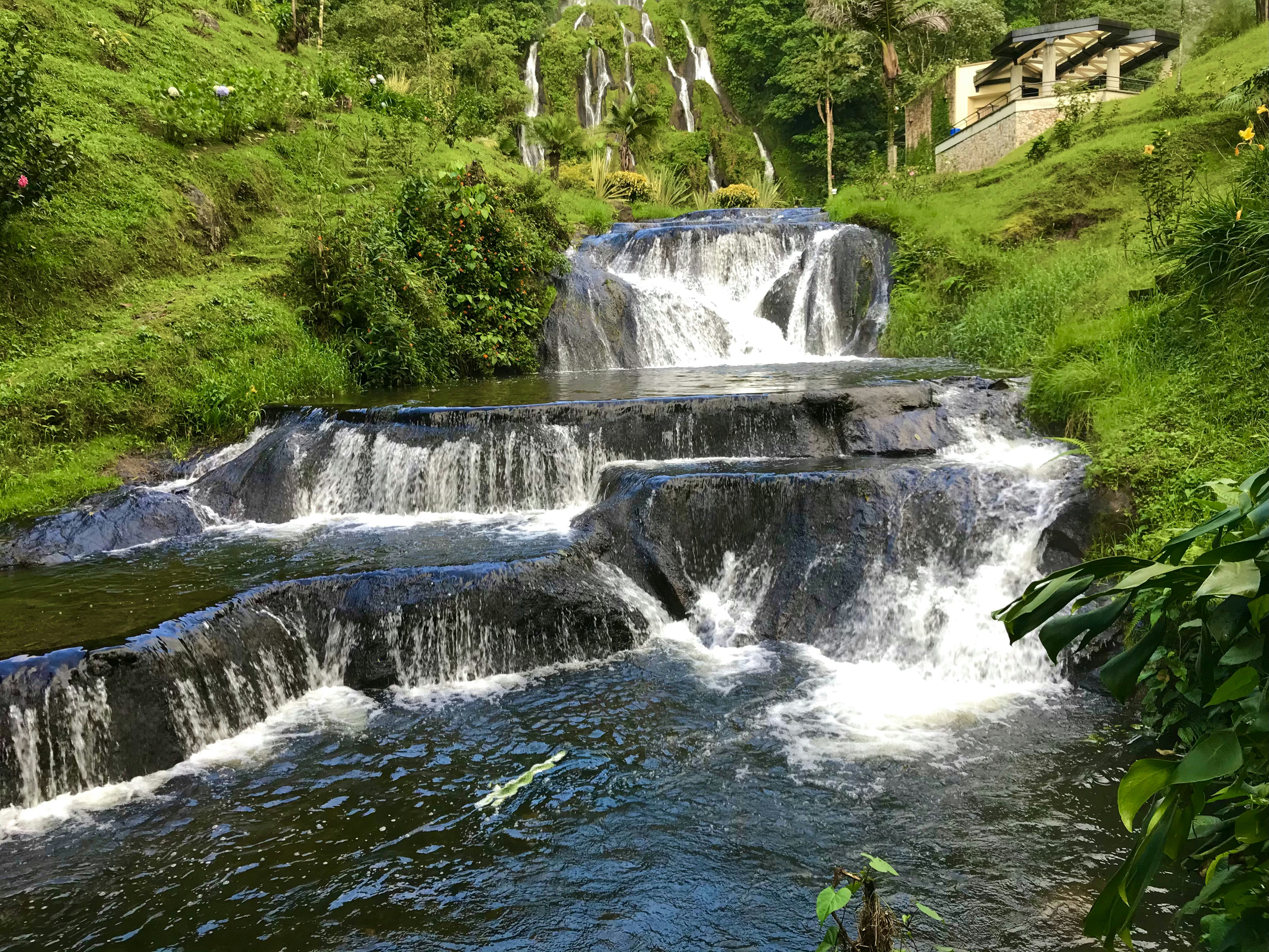 waterfalls near green trees during daytime