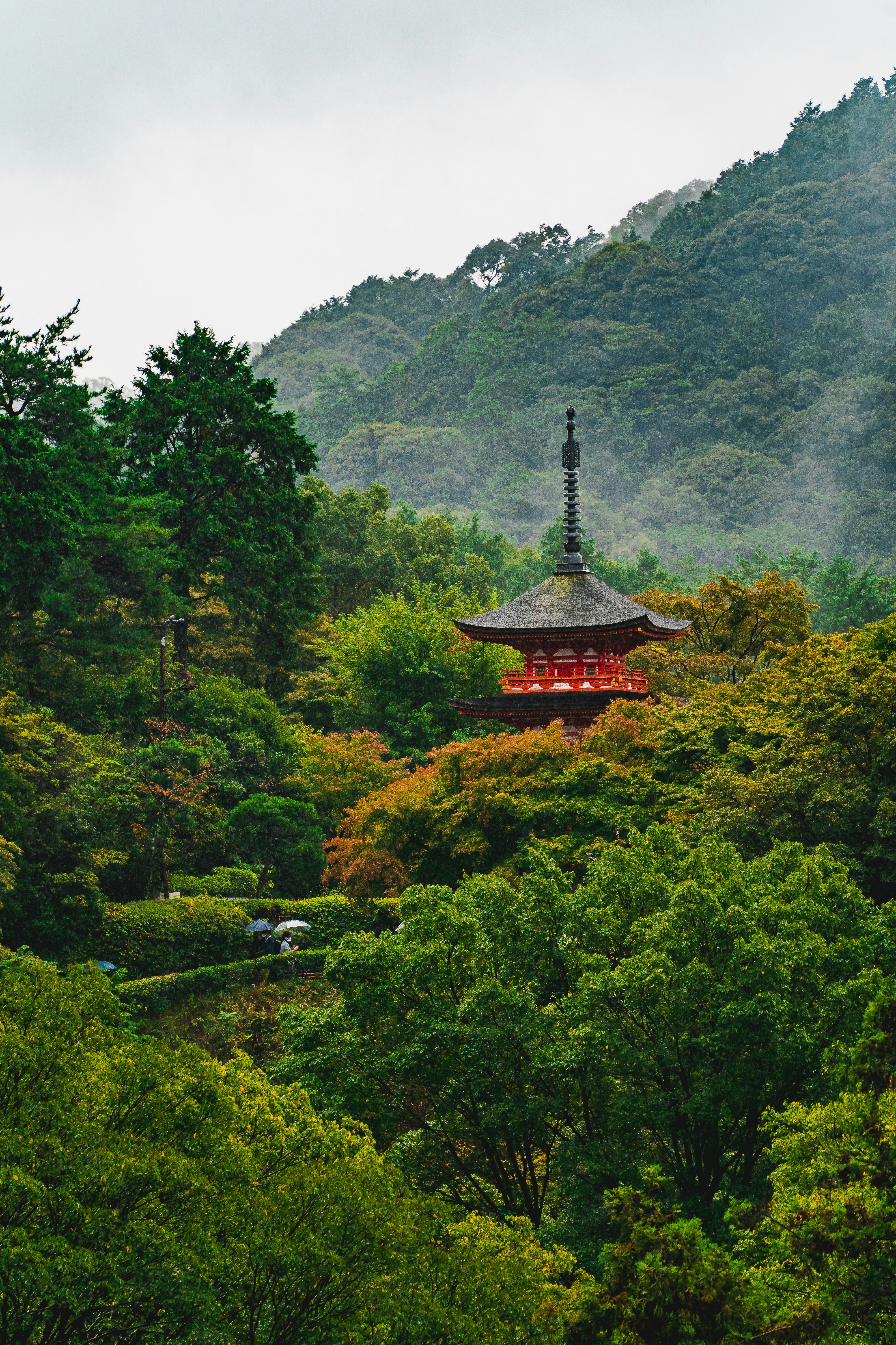 Photo by satoshin_73