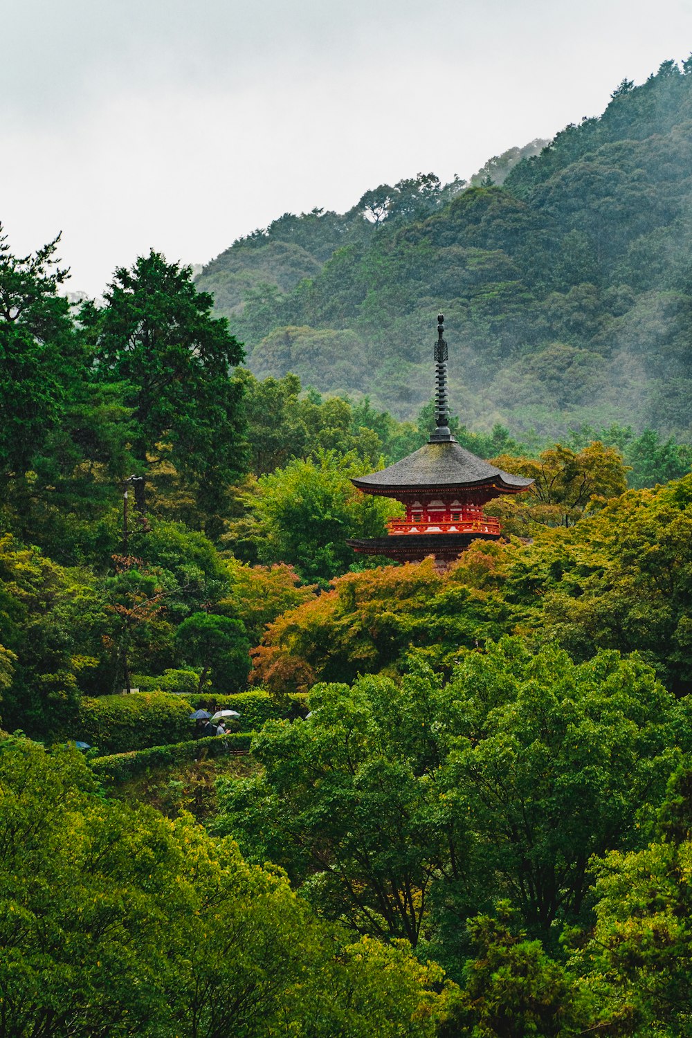 black and red temple surrounded by green trees