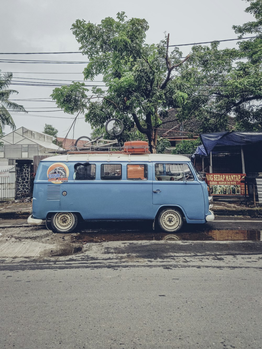 blue and white volkswagen t-2 parked beside green tree during daytime