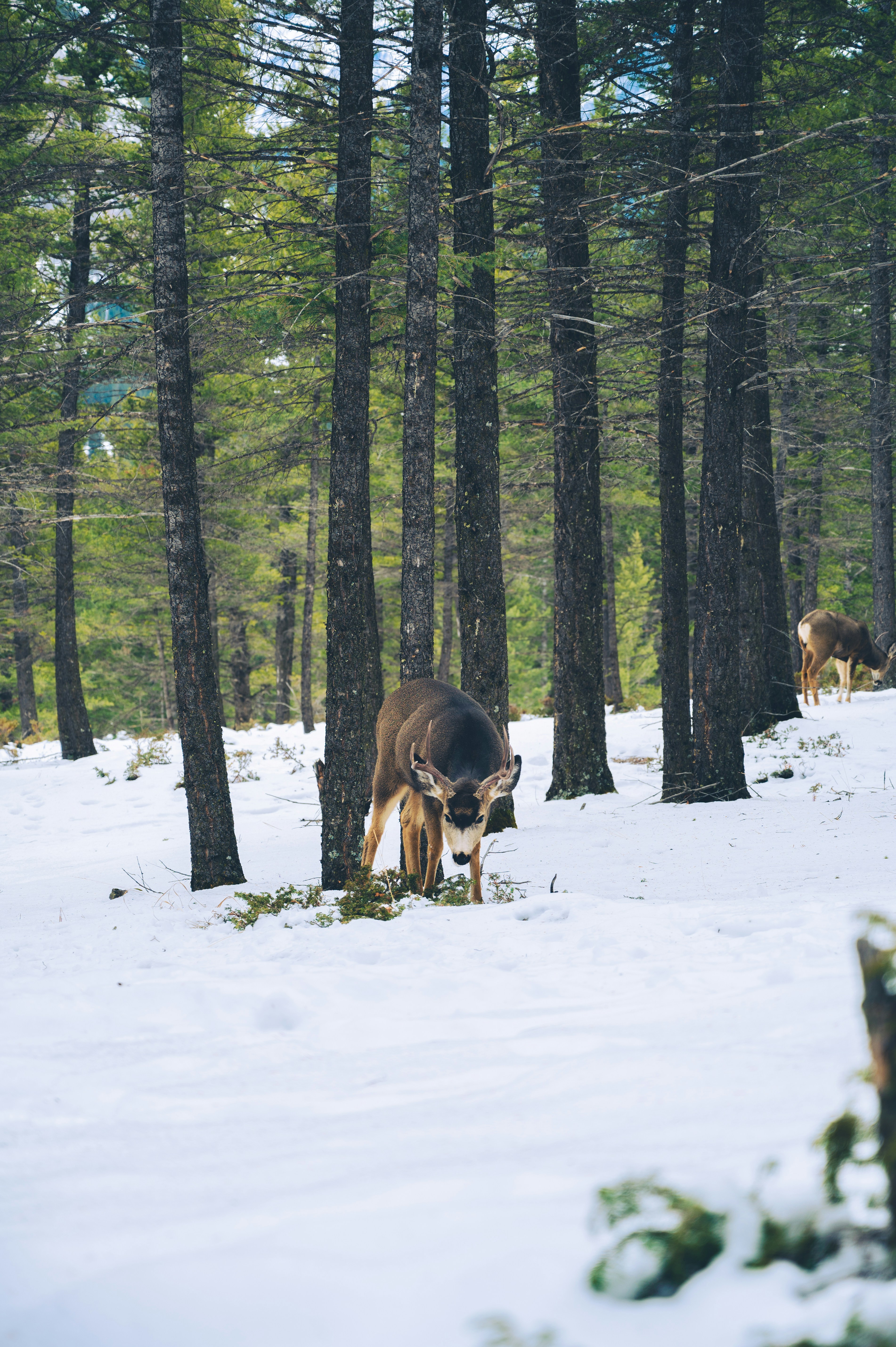 Photo by ryunosuke_kikuno