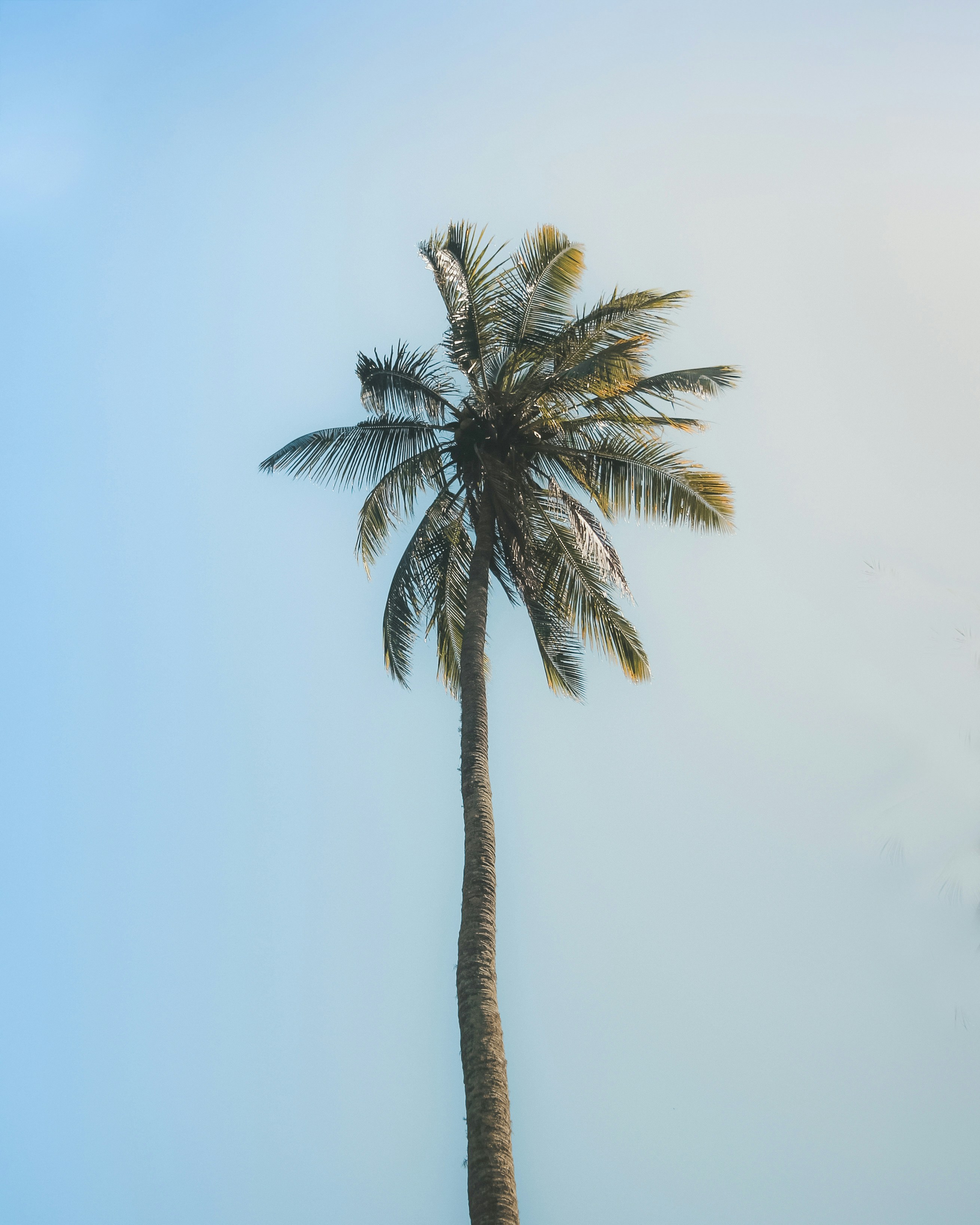 Photo by visualsofdana