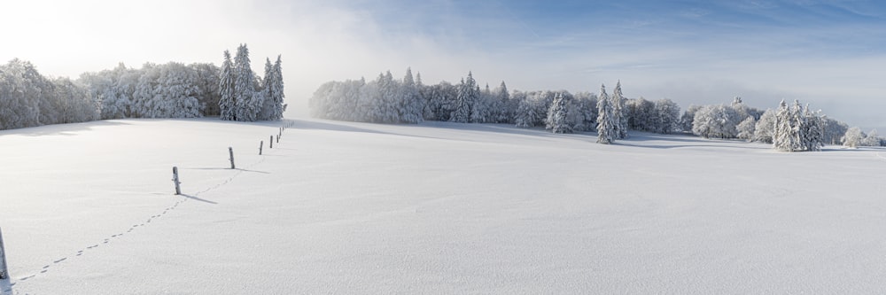 snow covered field and trees under blue sky during daytime