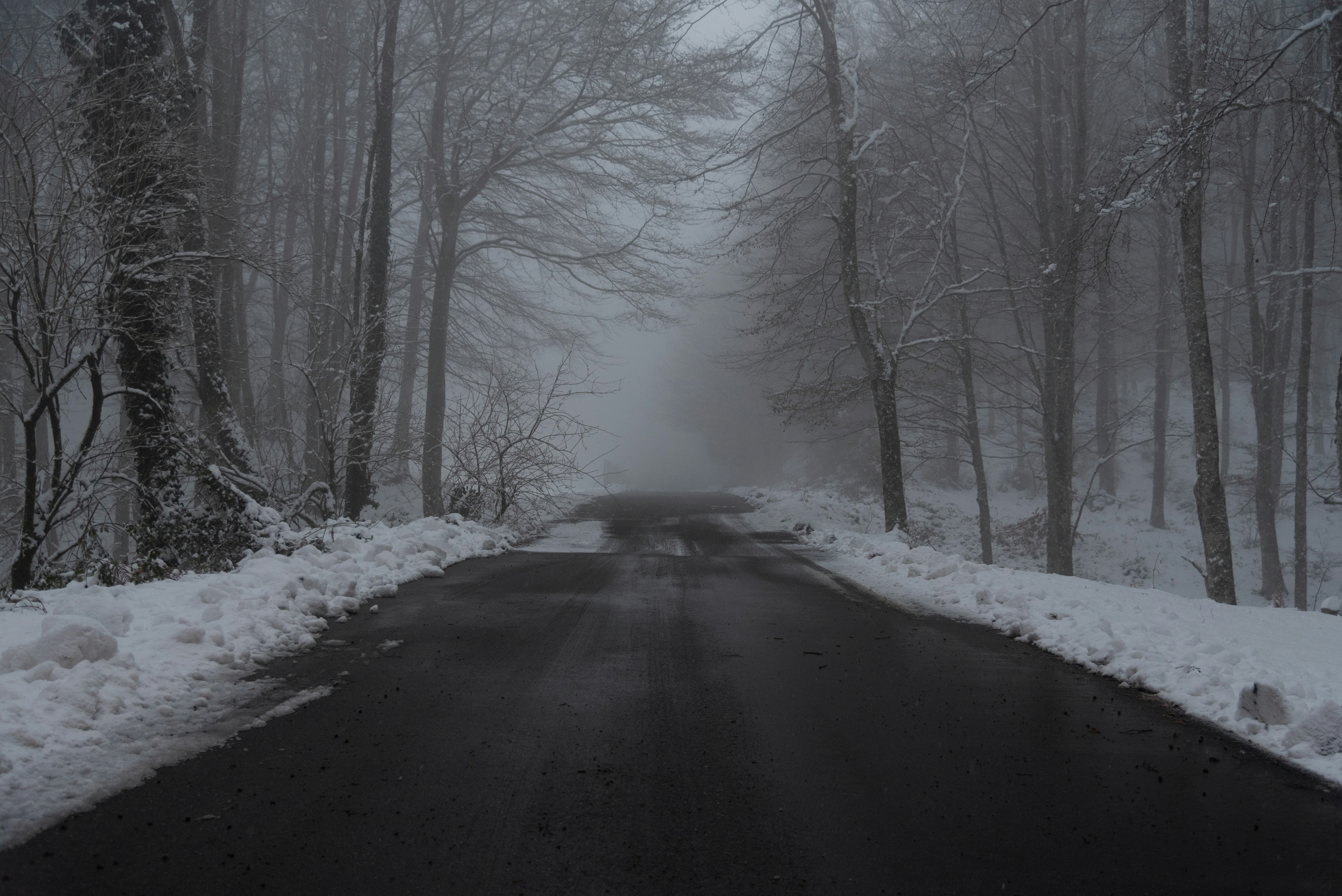 Photo by serenarepice