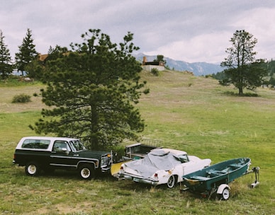 A grassy field with a black SUV, a covered white classic car, and a small green boat on a trailer. A large tree stands nearby, and the landscape features rolling hills, scattered trees, and a distant view of mountains under a cloudy sky.