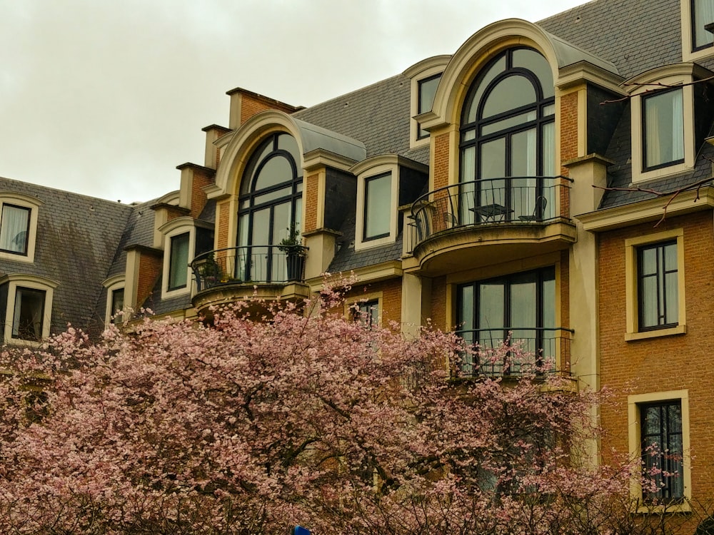 brown concrete building with pink flowers