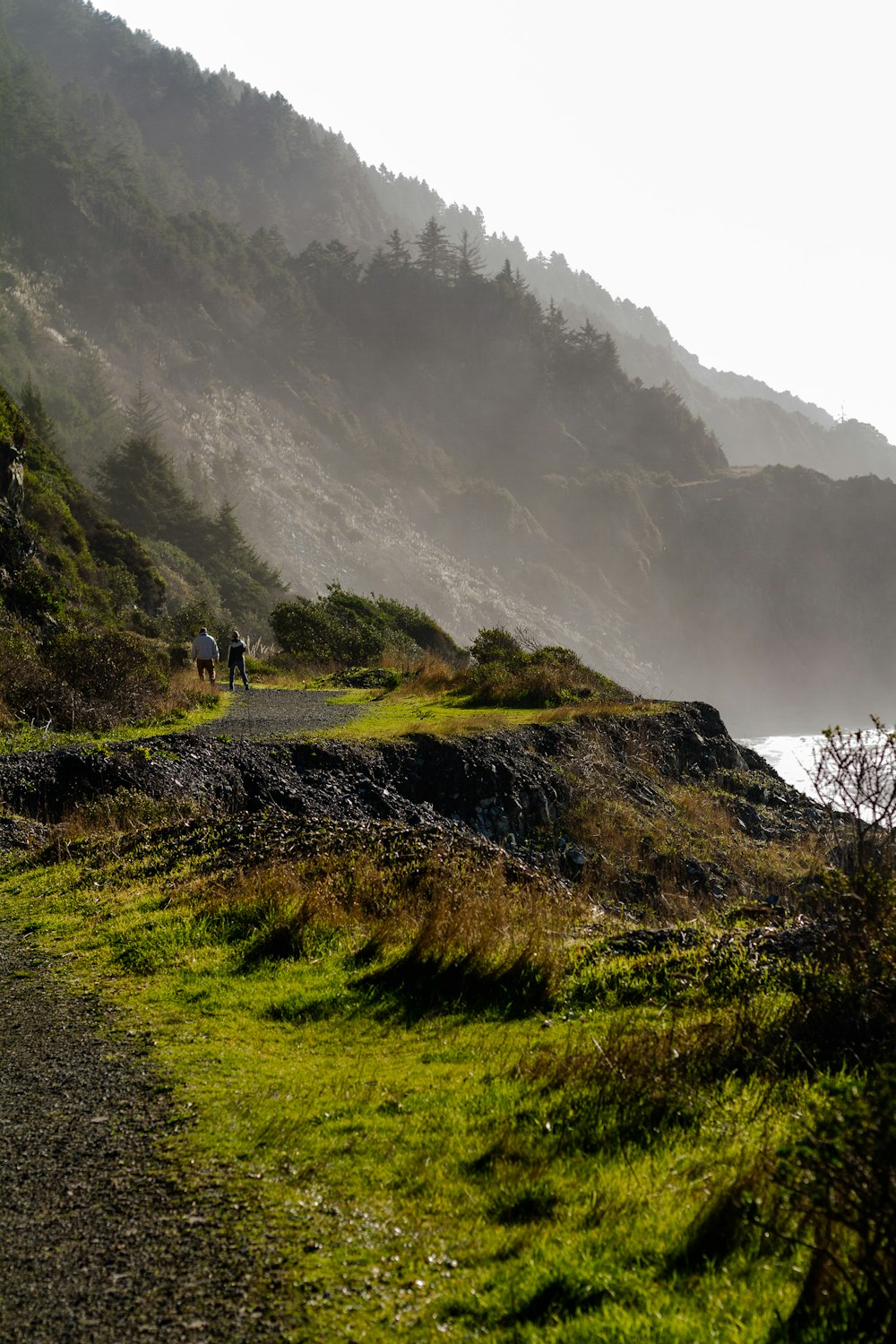 Gente caminando en el campo de hierba verde durante el día de niebla