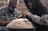 Two individuals, both wearing flannel shirts and hooded jackets, are engaged in playing a handpan. One of them is captured in motion, striking the instrument with their hands. The background is slightly blurred, giving the scene a sense of focus and intimacy on the musicians.