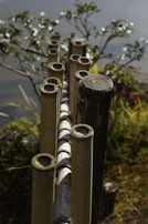 Several vertical bamboo poles placed closely together create a rustic fence-like structure. The background shows green foliage and a blurred body of water, suggesting a tranquil natural setting.