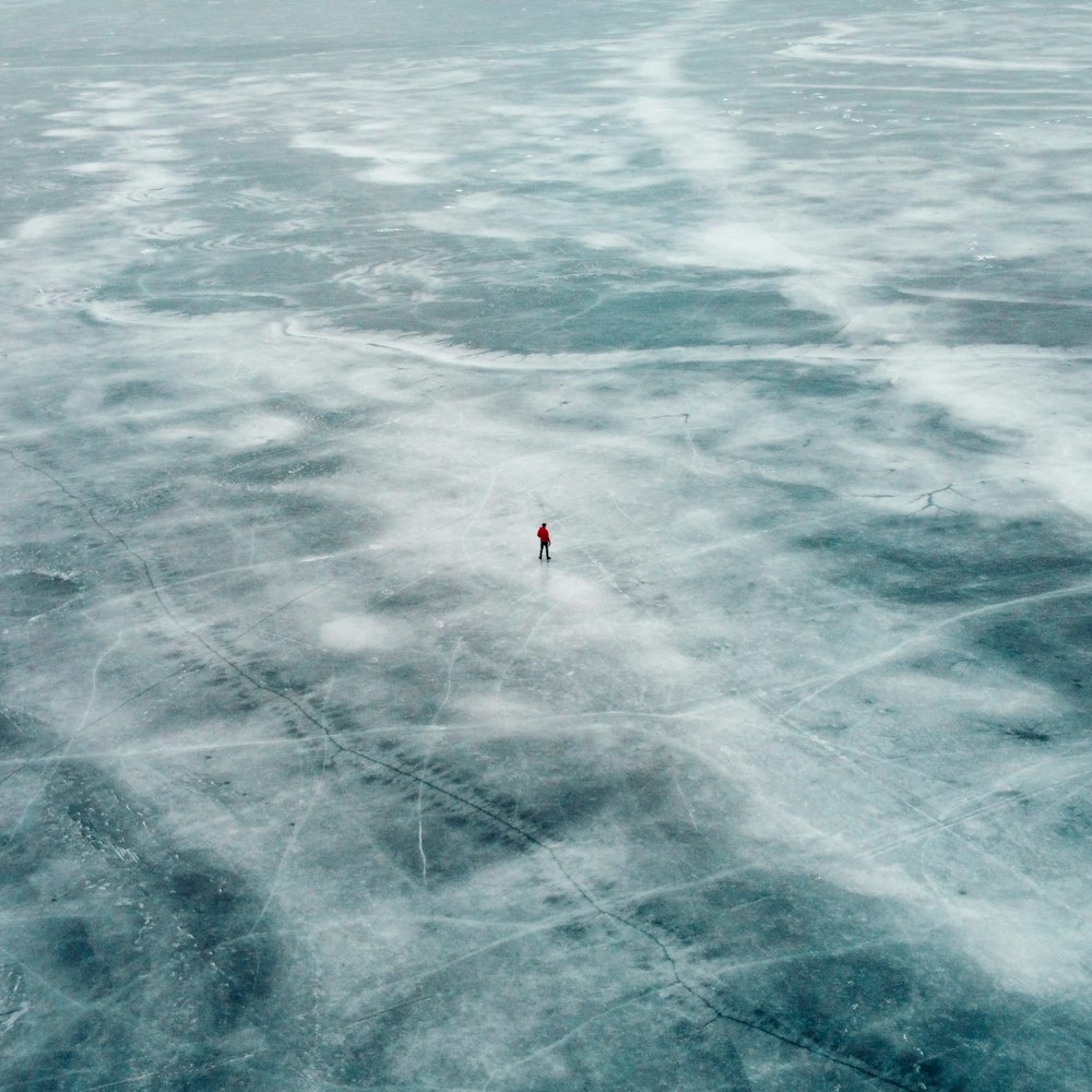 Person in rotem Hemd und schwarzen Shorts im Wasser