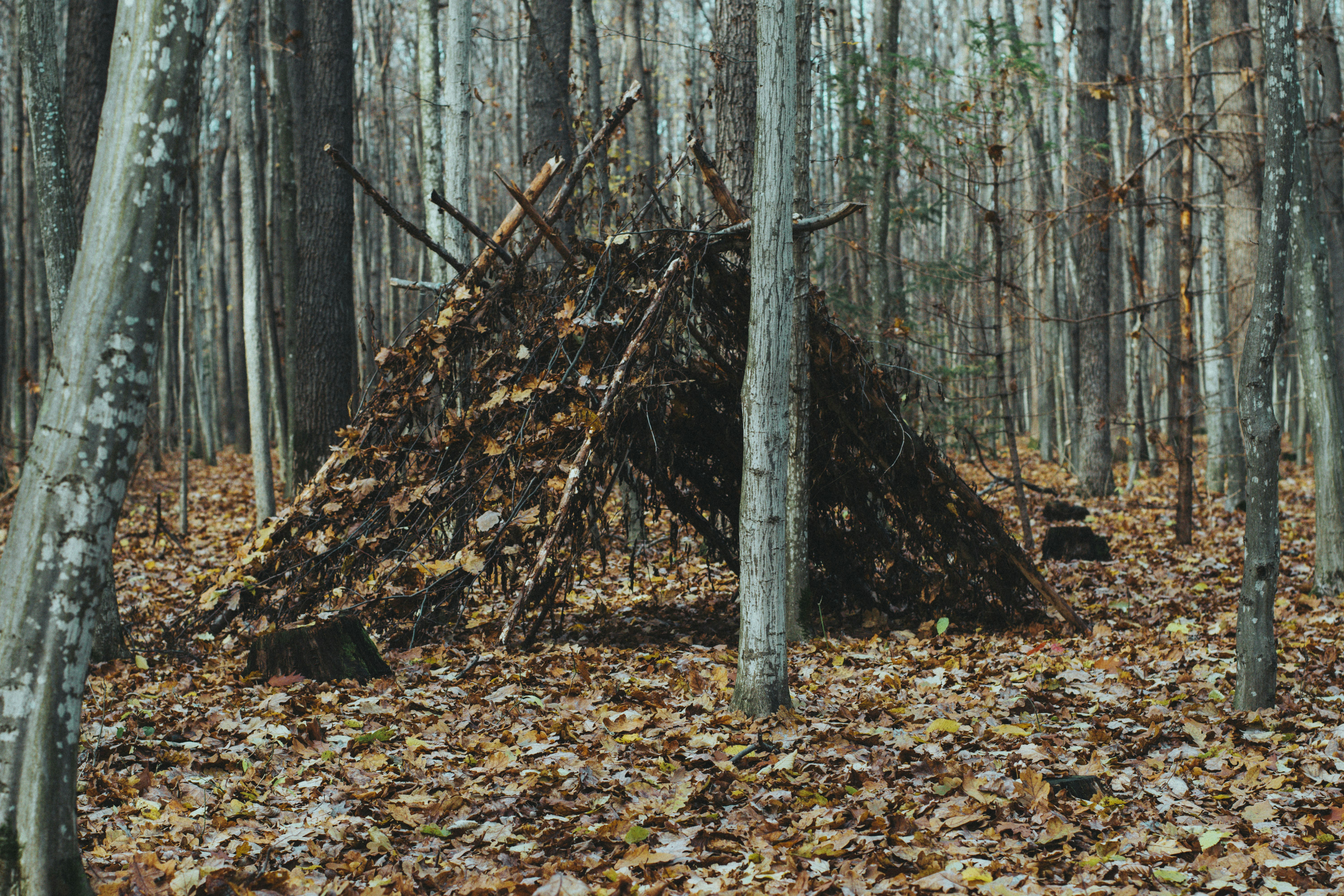 Building Shelter From What Was Available