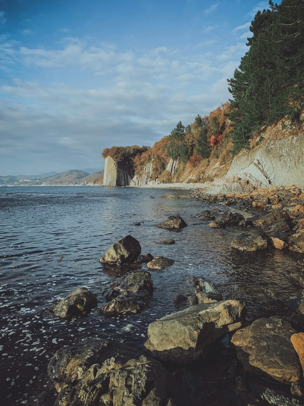 rocky shore with rocks and green trees during daytime