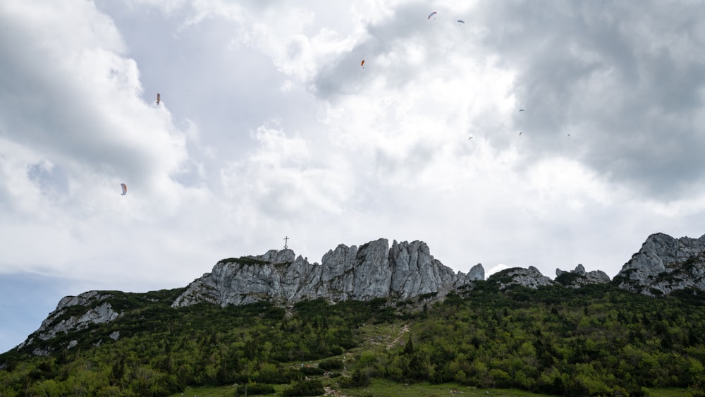 Grünes Grasfeld in der Nähe von Rocky Mountain unter bewölktem Himmel tagsüber