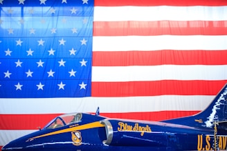 blue and red jet plane