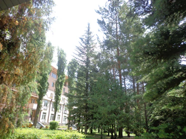 A peaceful residential condominium nestled among tall trees and natural landscaping.