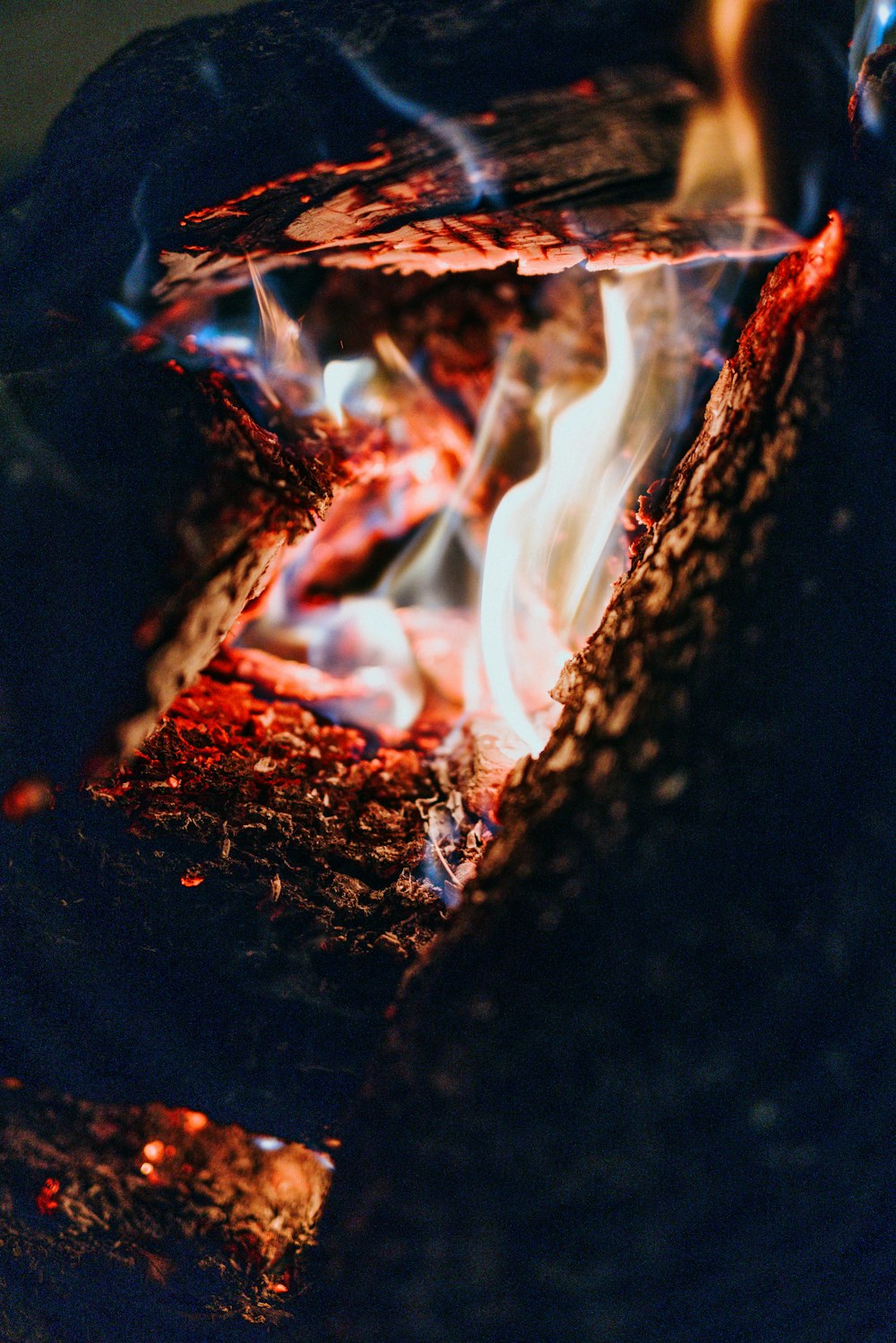 burning wood on fire pit