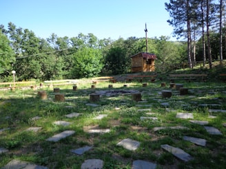 A grassy outdoor area surrounded by lush trees and a small wooden structure. The space features a circular arrangement of wooden stumps and flat stepping stones, suggesting it might be used for gatherings or educational purposes. Benches are positioned around the perimeter, and tall pine trees are visible on the right side.