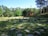 A serene outdoor space where students are participating in a nature-based learning activity.
