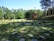A serene outdoor space where students are participating in a nature-based learning activity.