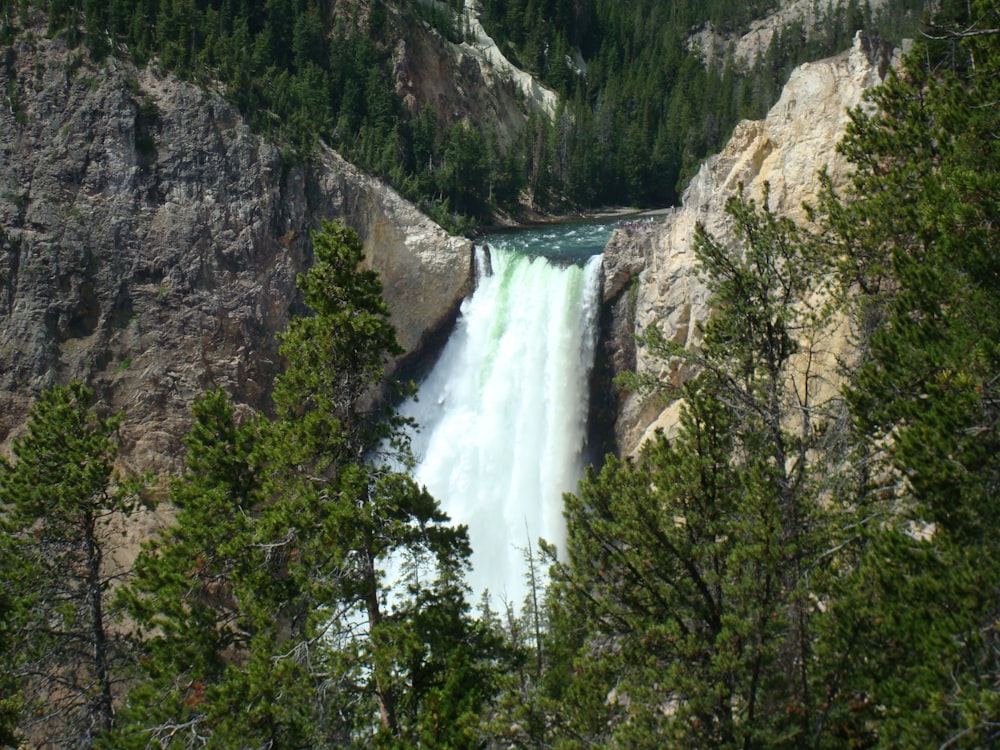 waterfalls in between green trees during daytime