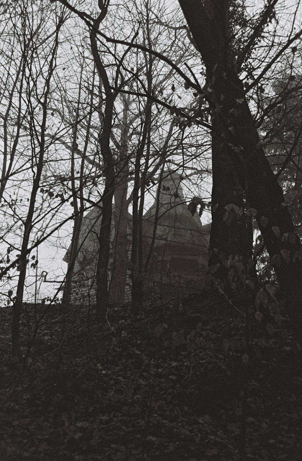 brown bare trees near brown house during daytime