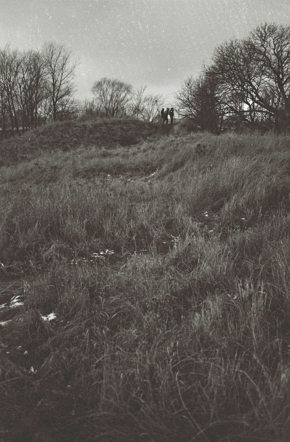 green grass field during daytime