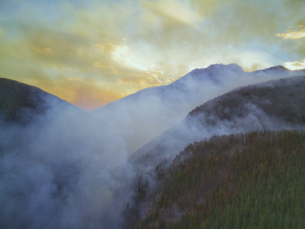 green trees on mountain under white clouds during daytime