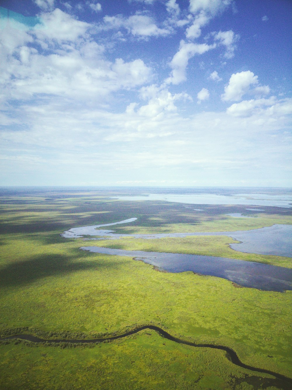 Campo de hierba verde bajo el cielo azul durante el día