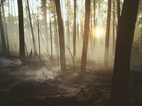 A split-screen photo showing a joyful family picnic on the left and a nearby forest fire raging on the right.