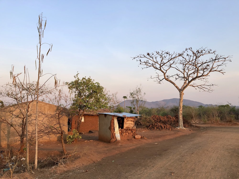 brown wooden shed near bare trees during daytime