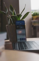 A smartphone is propped against an open laptop on a table, with both devices displaying screens. Behind them, there is a potted plant with large green leaves. The setting suggests a casual or home office environment with soft lighting.