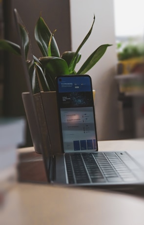 A smartphone is propped against an open laptop on a table, with both devices displaying screens. Behind them, there is a potted plant with large green leaves. The setting suggests a casual or home office environment with soft lighting.