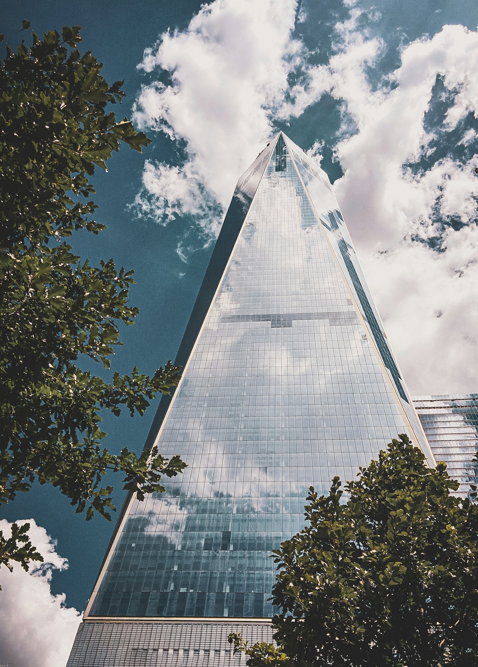 green tree beside glass building during daytime