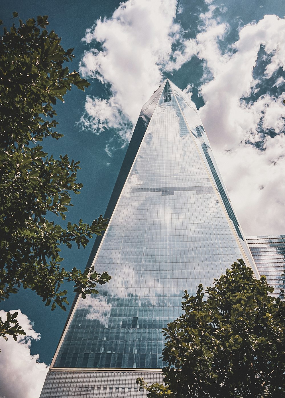 green tree beside glass building during daytime