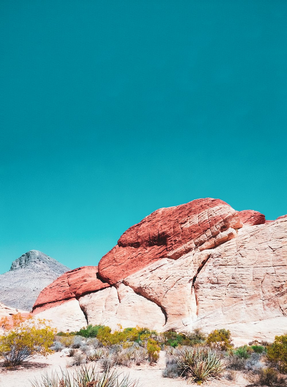 Brauner Rocky Mountain tagsüber unter blauem Himmel